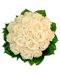 bouquet of cream roses