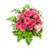 pink and white roses with chrysanthemums. Angola