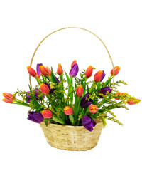 mixed color tulips in a basket